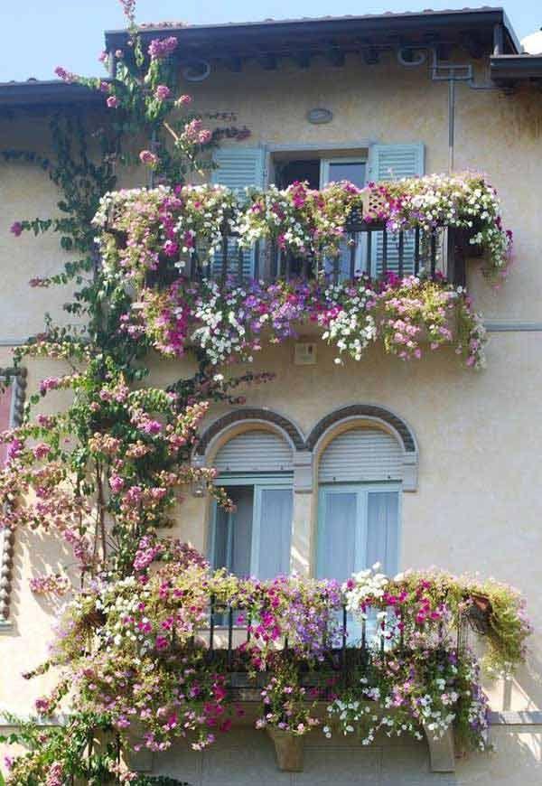Gentle Embrace of Pastel Petals Array